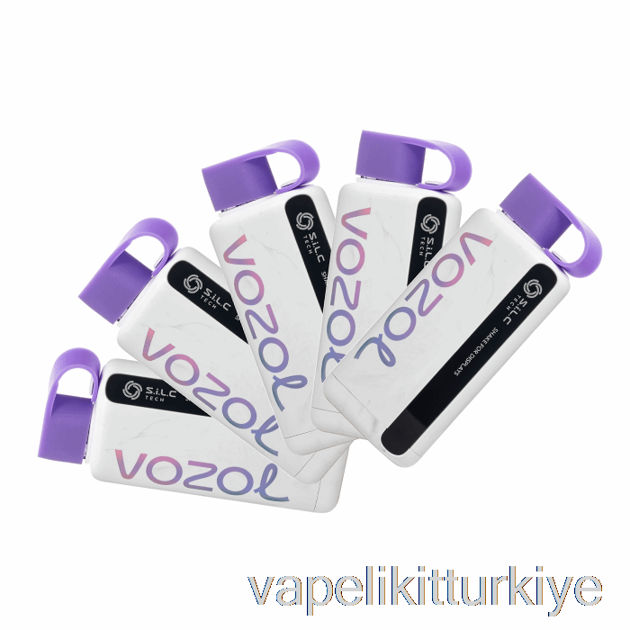Vape Elektronik Sigara [5'li Paket] Vozol Star 9000 Tek Kullanımlık